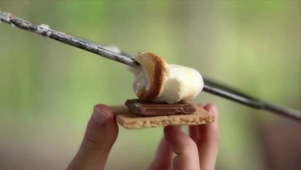 Hershey's Found a Surprising Connection Between the Pandemic and...S'mores?