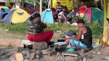 Pasaje a la selva: 700 migrantes retoman su travesía tras quedar varados en Colombia