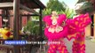 Superando barreras bailarinas brillan en las fiestas del Año Nuevo Lunar en Vietnam