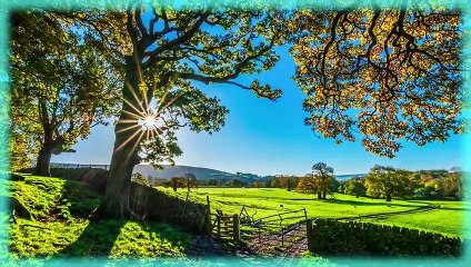 等爱-于嘉乐-DJmix