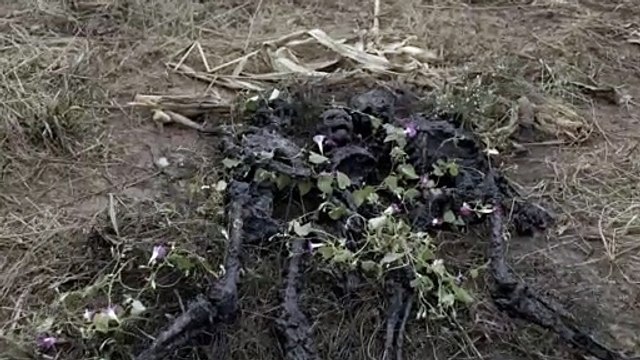 The Walking Dead Season 10c Trailer - The Way We Used to Be