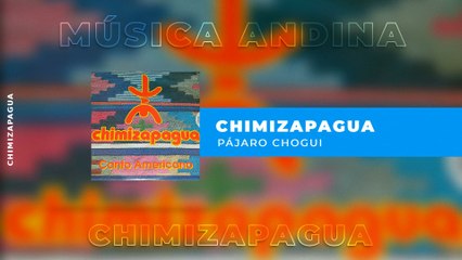 Chimizapagua - Pájaro Chogui