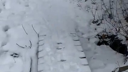 Snow starts once again in Alberta