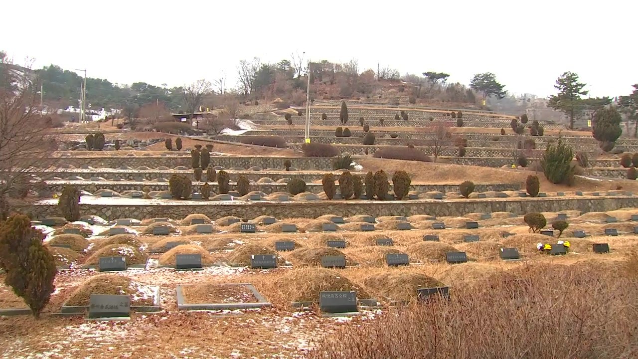 설 연휴 성묘 비대면으로..."5인 이상 성묘 안돼요" / YTN