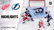 Red Wings @ Lightning 2/5/21 | NHL Highlights