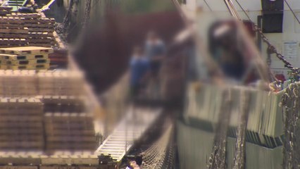 지역도 확산세 여전...부산항만 집단감염, 해외 유입 가능성 / YTN