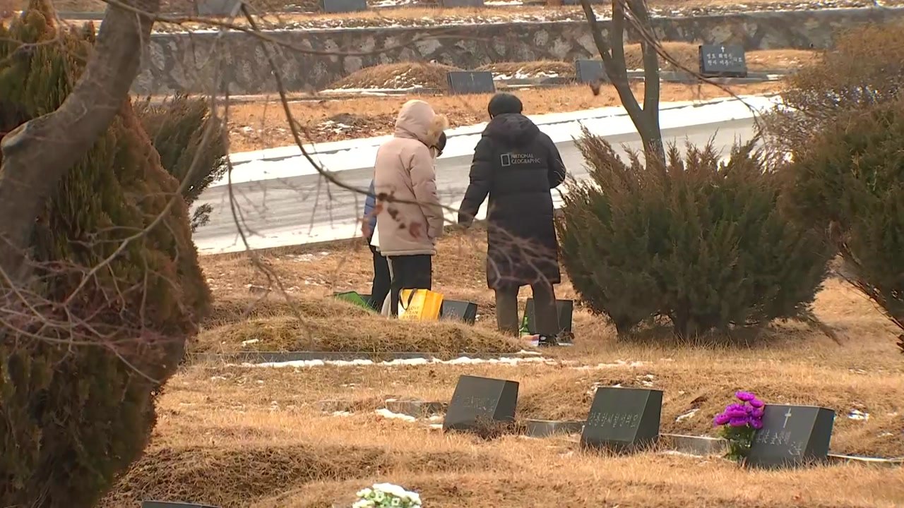 미리 지내는 설 성묘...연휴 동안 온라인 성묘로 / YTN