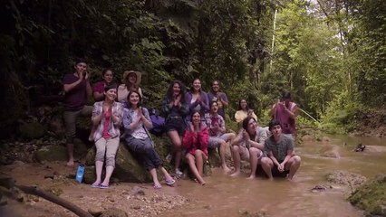 Paseo De Fin De Año