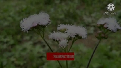 Bike accident on the spot RIP ll mitan vlogs