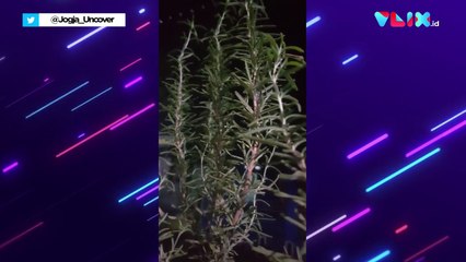 Ternyata Ini Penyebab Dentuman Misterius di Malang