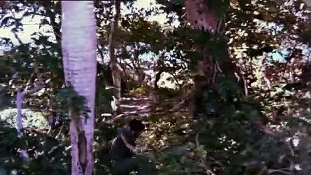 Z Force - Trailer