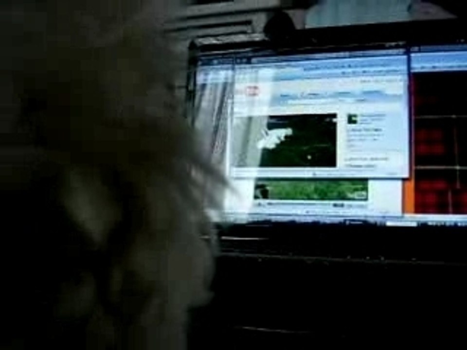 Y'a mes copains poilus à la télééééééé !