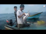 Palestine - Les pêcheurs gazaouis luttent pour leur survie