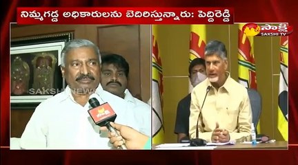 నిమ్మగడ్డకు జైలు శిక్ష తప్పదు: పెద్దిరెడ్డి