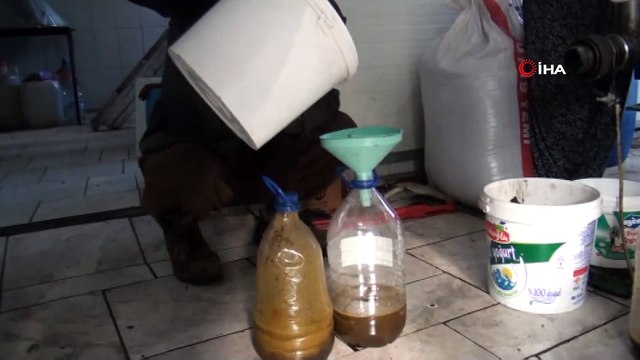 Dağlardan toplayıp yağının kilogramını 200 liradan satıyorlar