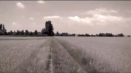 Running free - L109 PRO gps drone