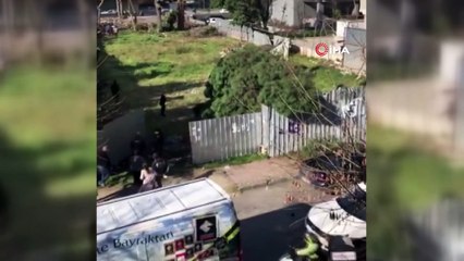 Kadıköy'de 100 yıllık ağaç kesim gerginliği