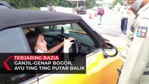 Ayu Ting-Ting Terjaring Razia Ganjil Genap di Bogor, Petugas Imbau Putar Balik