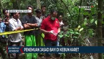 Penemuan Jasad Bayi di Kebun Karet, Kuat Dugaan Dibuang Orangtuanya