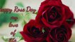 Happy Rose Day 2021 - Best Wishes, Greetings, WhatsApp and Fb Messages to Send Your Valentine #roseday