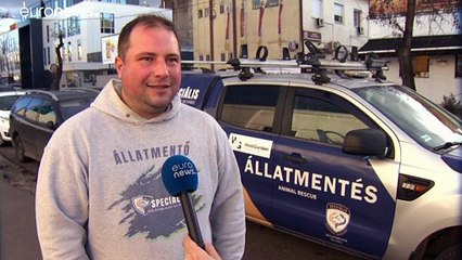 Заказал пиццу — приюти щенка