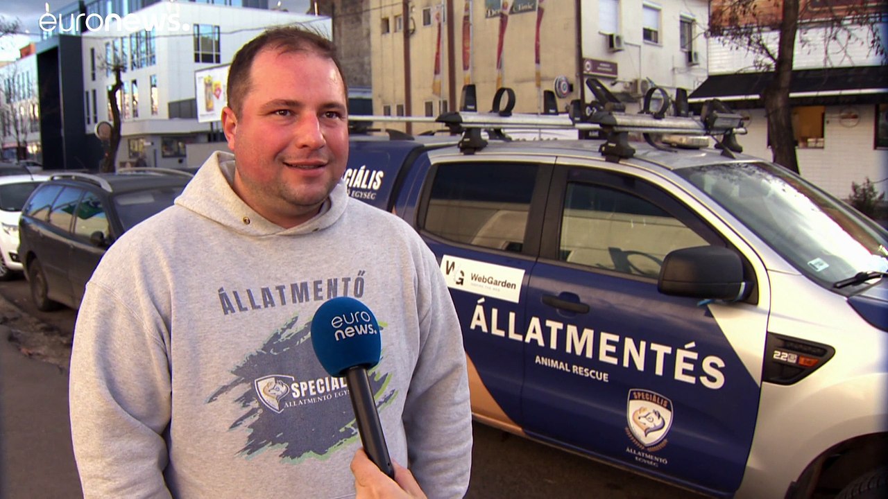 'Haben Sie Platz für einen kleinen Hund?'- Pizzeria wirbt für Tierheim