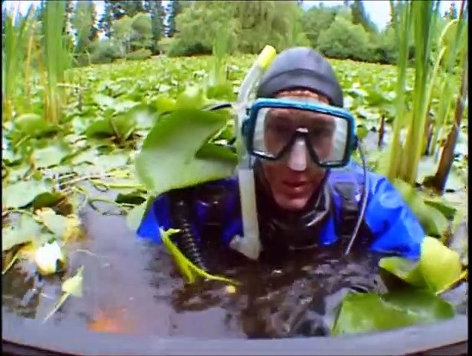 Bill Nye the Science Guy - S04E13 Amphibians