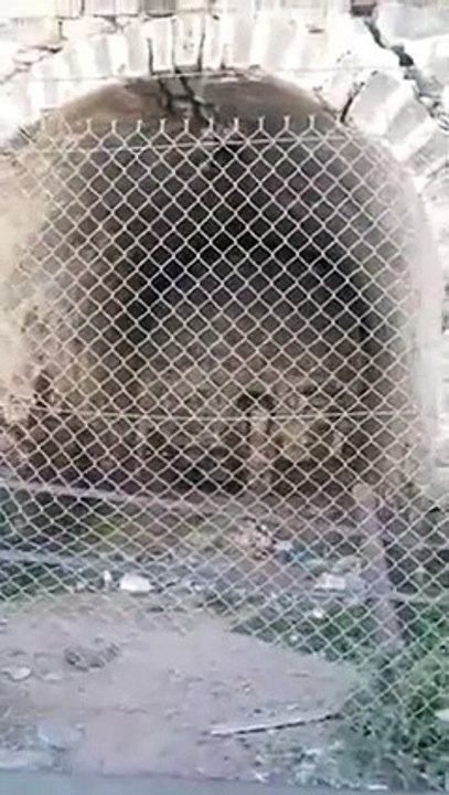 Maula Ali home view