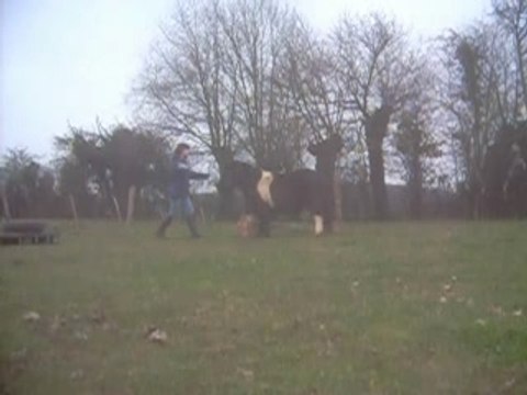 1001 facons obstacle