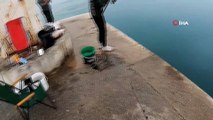 Antalya’da lise öğrencisinin oltasına boyu kadar balık takıldı
