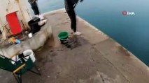 Antalya’da lise öğrencisinin oltasına boyu kadar balık takıldı