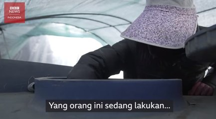 Menjadi pekerja migran 'gelap' di Korea Selatan