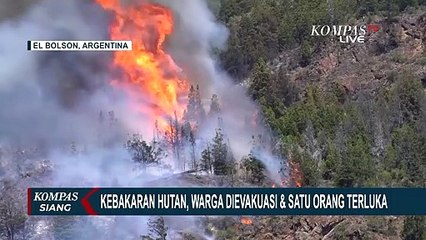 Terjadi Kebakaran Hutan Ribuan Hektar di Argentina, Satu Orang Terluka
