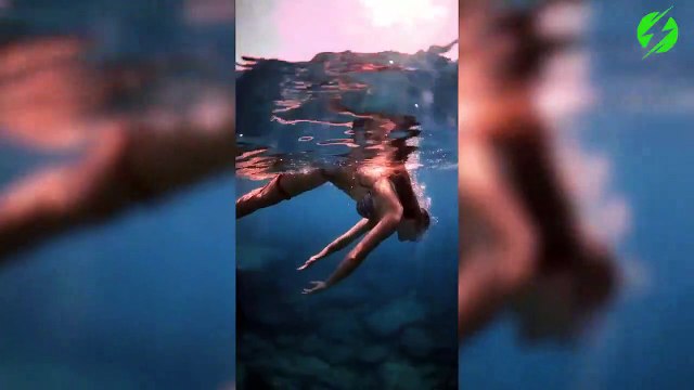 Ce poulpe semble très amoureux de cette belle nageuse