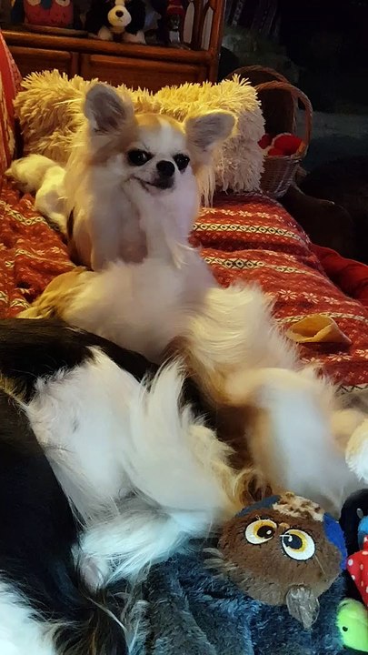 Les 2 frérots heureux de jouer le soir