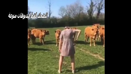 عندما يجتمع الجمال مع الجنون