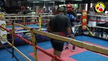 Guanteo: Walter Castillo vs Minor Castillo - Alpha Dog Boxing Club