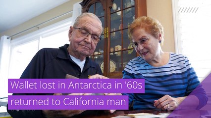 Wallet lost in Antarctica in '60s returned to California man, and other top stories in strange news from February 07, 2021.