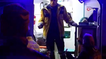 Otomobil hurdaya döndü, ağaç yerinden bile oynamadı