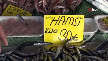 Yasaklar işe yaradı, hamsi boyları uzadı