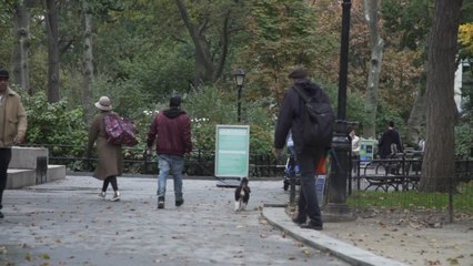 Download Video: Estados Unidos pone por primera vez más de dos millones de vacunas en un día