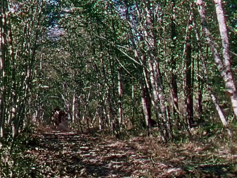 1952 Là dove scende il fiume - l’attacco finale nel guado del fiume (2.44)