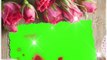 Rose Day Green Screen Status | happy rose green screen video | ROSE DAY | green effect video
