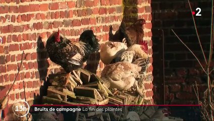 Patrimoine sensoriel : à Orphin dans les Yvelines, les cloches de l'église retentissent librement