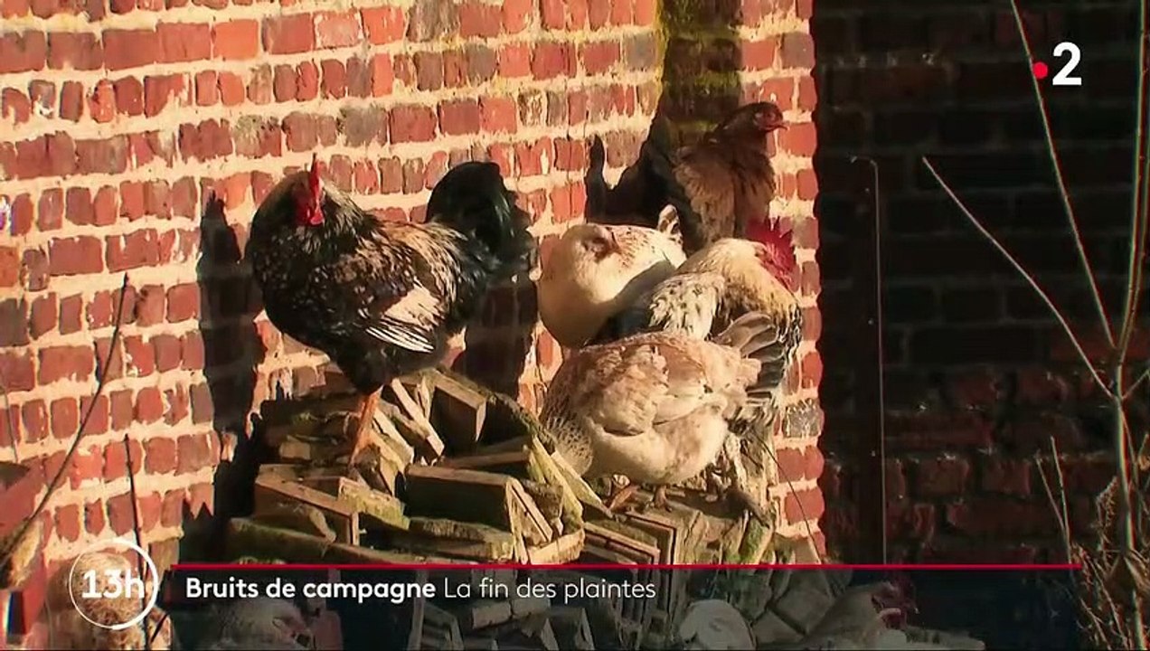 Patrimoine sensoriel : à Orphin dans les Yvelines, les cloches de l'église retentissent librement