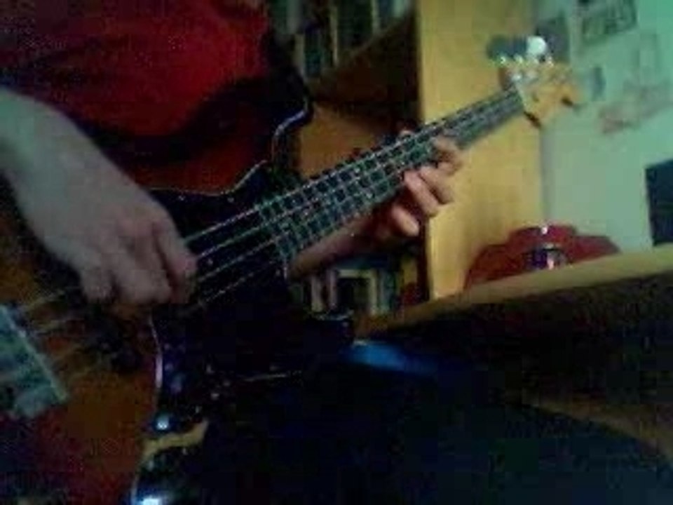 Muse - New Born Bass Cover (OK)