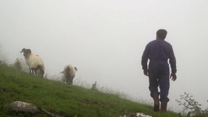 Non dago Mikel? (¿Dónde está Mikel?) - Tráiler