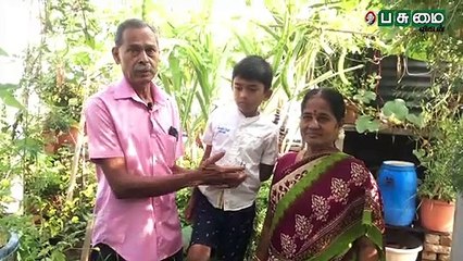 மாடித்தோட்டத்தில் கீரை முதல் 'பிரான்ஸ்' பீன்ஸ் வரை... விதவிதமான காய்கள்!