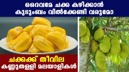 ചക്ക കഴിച്ചാല്‍ ഇനി പോക്കറ്റ് കാലിയാകും.. അമ്മാതിരി വില | Oneindia Malayalam