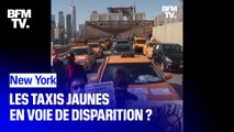Les taxis jaunes new-yorkais en voie de disparition ?